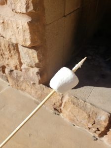 Marshmallow on a stick