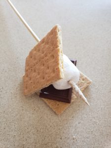 The Perfect S'more